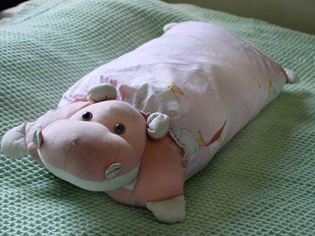 Pillow Hippo from Korea