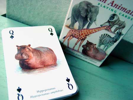 The Famous African Animals Playing Cards/(c)2000 Trioview Ltd./U.K./#hp02412