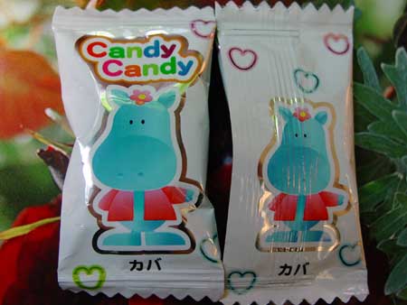 Candy 02854