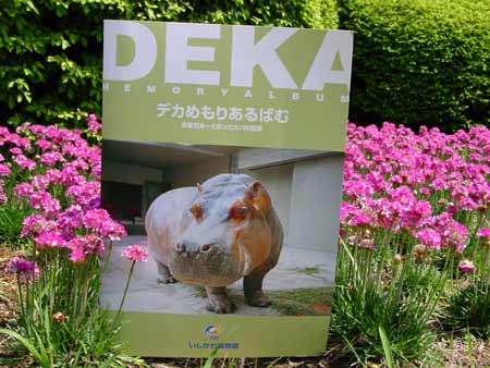 DEKAMEMORYALBUM Ishikawa Zoo Japan