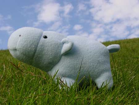 Small Stuffed Hippo hp03114