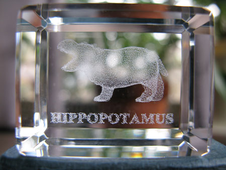 3D Art Crystal Hippo