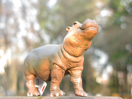 PAPO Hippo