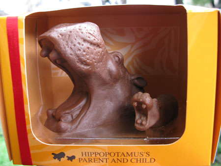 Zoology Chocolate Hippo