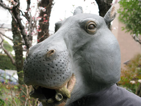 Latex Hippo Mask