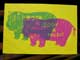 Postcard Hippo