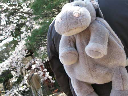 Hippo Back Pack