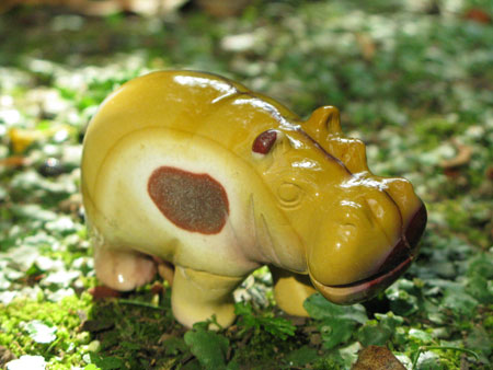 Yellow Stone Hippo