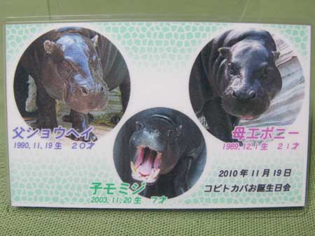 Ueno Zoo TZV original card3