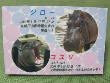 Ueno Zoo TZV original card2