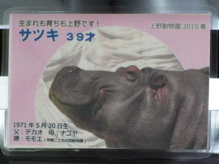 Ueno Zoo TZV original card1