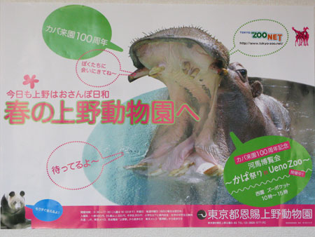 Ueno Zoo Hippo Festival Poster