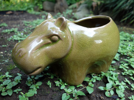 pot cover hippo