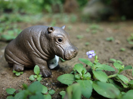 Schleich Baby Hippo