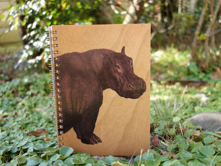 Hippo Notebook