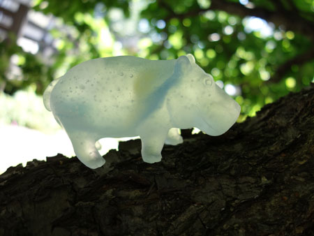 glass hippo by Asuka Ishikawa