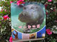 Asahiyama Zoo Calendar2015