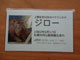 Ueno Zoo hippo card