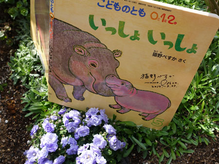 child book by Nekono Pesca