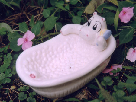 Ceramic Hippo in a Bath Soap Holder