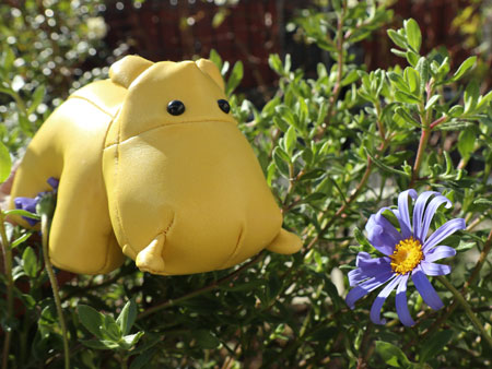 Stuffed Hippo and Daisy