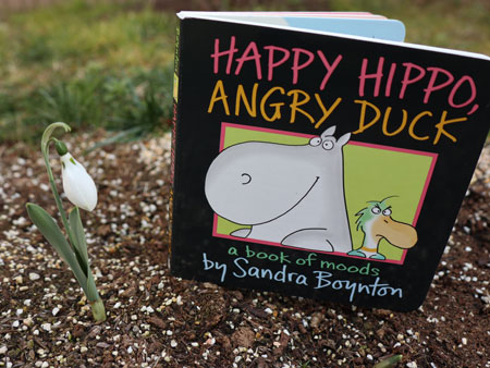 HAPPY HIPPO, ANGRY DUCK