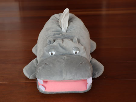 tissue cover hippo