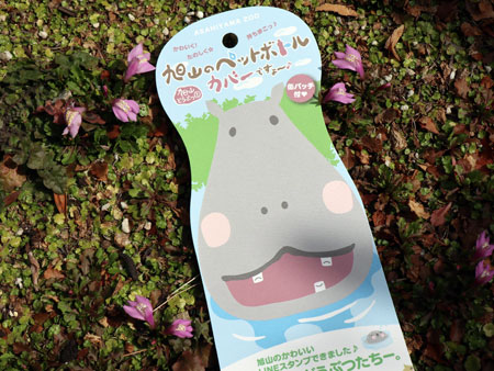 Asahiyama Zoo bottle cover package