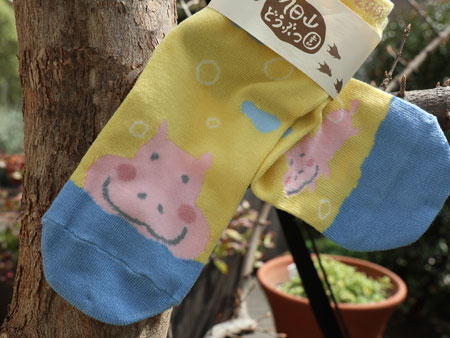Asahiyama Zoo socks