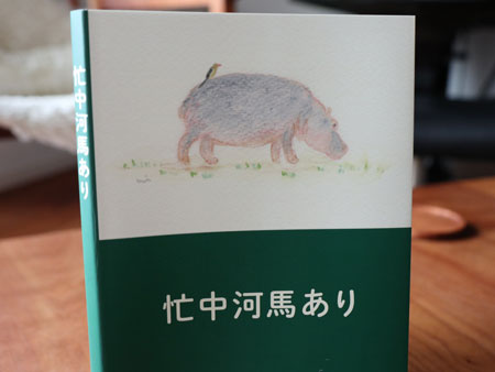 Hippo collection book