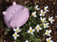 hippo face toy and flowers