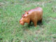 the wooden hippo from church bazaar
