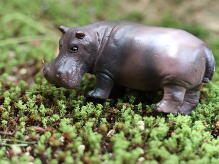 Miniatureplanet hippo