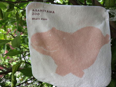Asahiyama Zoo Towel