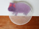 hippo glass plate by Yuko Mizuyoshi 