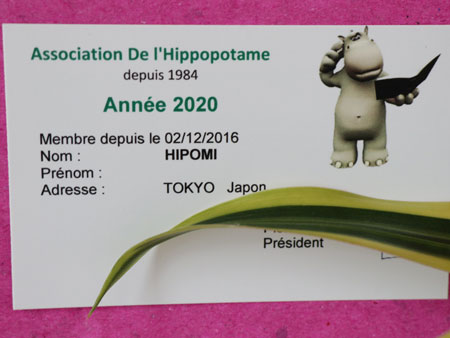 ADH member's card 2020