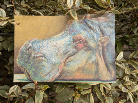 ポストカードカバ　by磯野キャビア