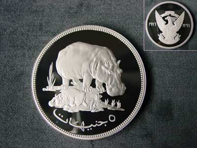 hippo coin hipomi