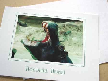 ホノルル動物園のカード