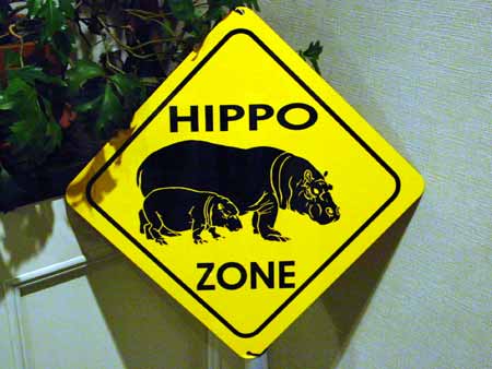 Hippo Zone　#hp02549