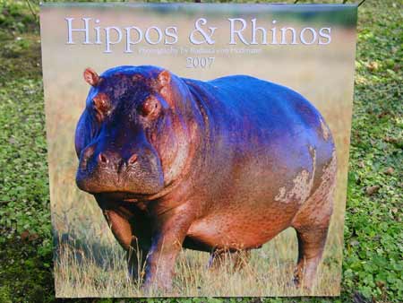 Hippos & Rhinos 2007Calendar