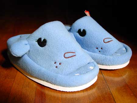 A pair of Diet Slippers