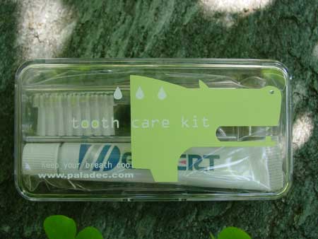 tooth care kit 