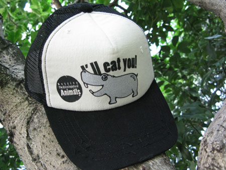 CAP design by Hidatugu Shibata