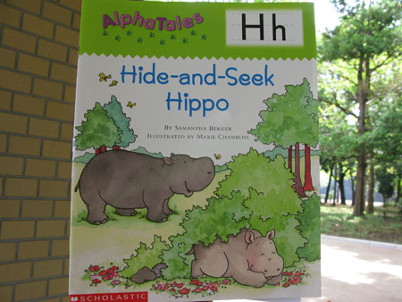 『Hide-and-Seek Hippo』
