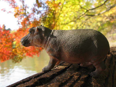 Hippo Animal GENDAI HYAKKA INC.