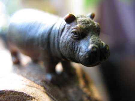 small hippo 3.8cm