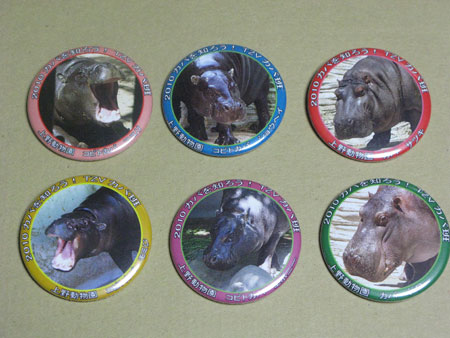 上野動物園 TZVオリジナル 缶バッジ６種類