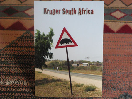 from Paolo Kruger South Africa 