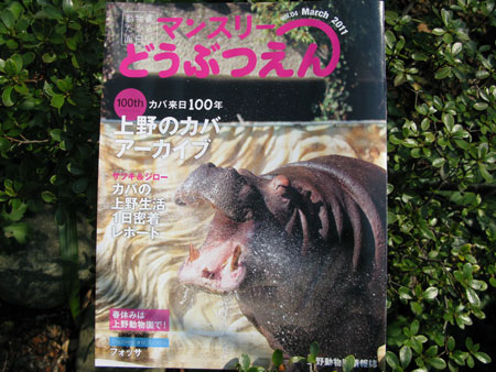 上野動物園情報誌 2011年3月